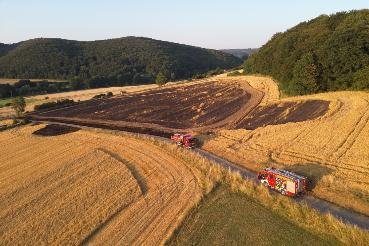 Vegetationsbrand Dilschhausen